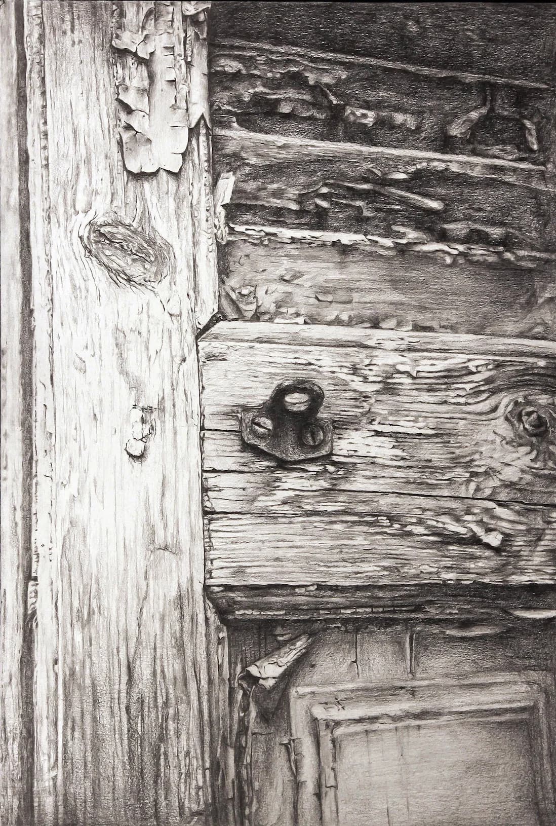 Graphite fine art study by Amie Xu.